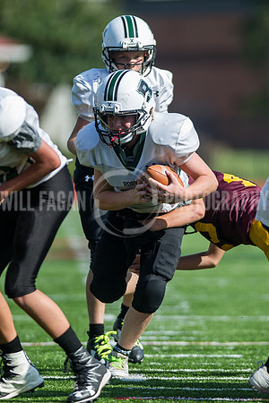 Hornets6@Lassiter_20160827_49