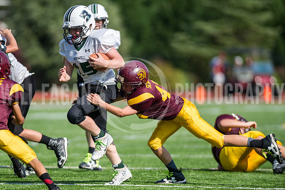Hornets6@Lassiter_20160827_54