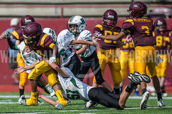 Hornets6@Lassiter_20160827_08