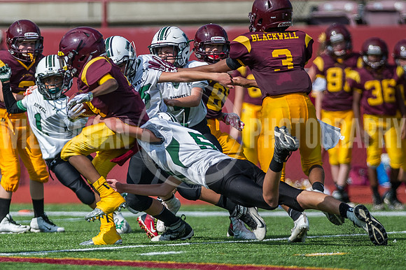 Hornets6@Lassiter_20160827_07