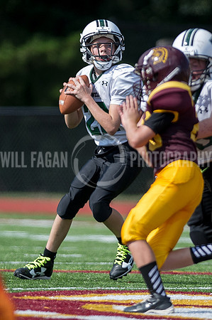 Hornets6@Lassiter_20160827_03