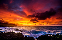 Hawaii Trip