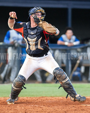 Sunbelt Baseball League Championship Series, Carrollton Clippers at Atlanta Crackers