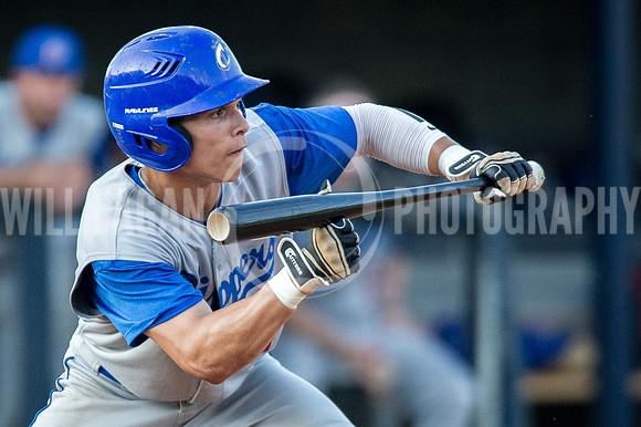 Sunbelt Baseball League Championship Series, Carrollton Clippers at Atlanta Crackers