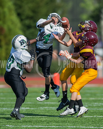Hornets6@Lassiter_20160827_89
