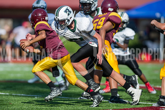 Hornets6@Lassiter_20160827_85