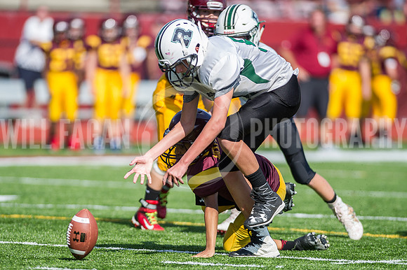 Hornets6@Lassiter_20160827_62