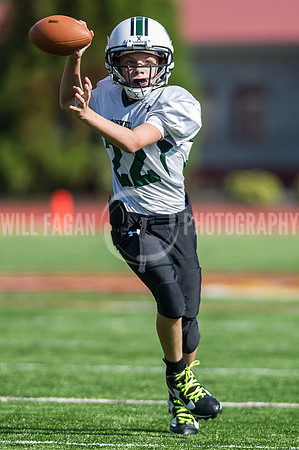Hornets6@Lassiter_20160827_59