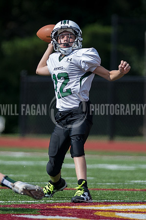 Hornets6@Lassiter_20160827_04