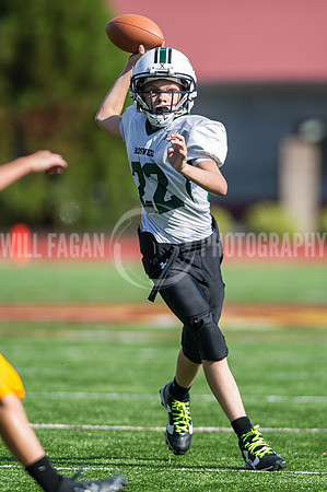Hornets6@Lassiter_20160827_60