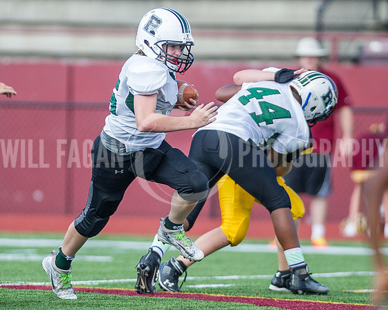 Hornets6@Lassiter_20160827_11