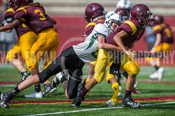 Hornets6@Lassiter_20160827_06