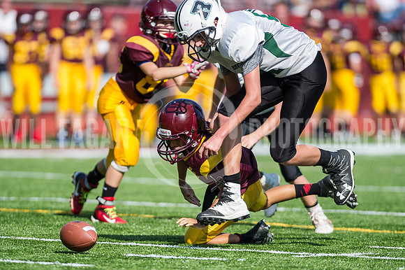 Hornets6@Lassiter_20160827_61