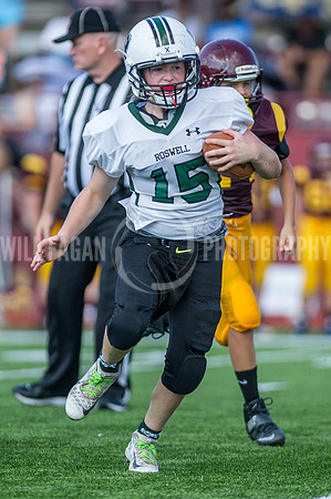 Hornets6@Lassiter_20160827_15