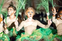 2019 CCA Lion King