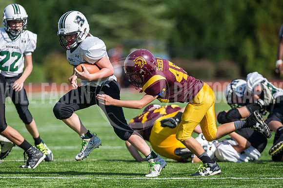 Hornets6@Lassiter_20160827_53