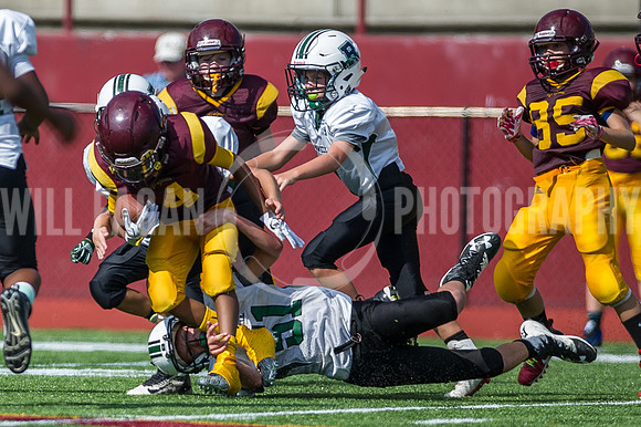 Hornets6@Lassiter_20160827_09