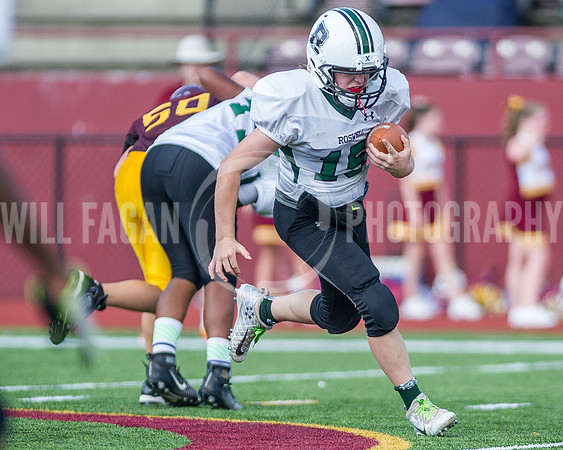 Hornets6@Lassiter_20160827_12