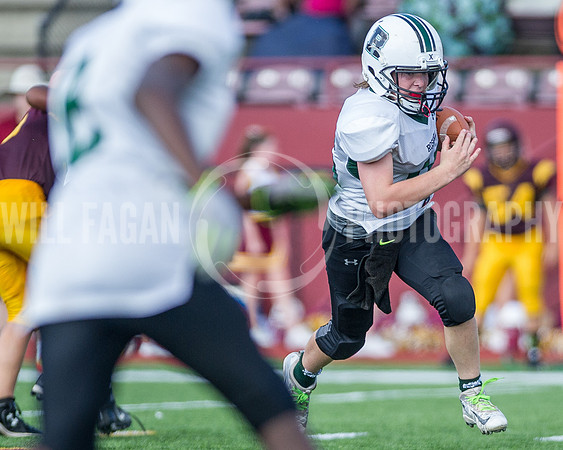 Hornets6@Lassiter_20160827_13