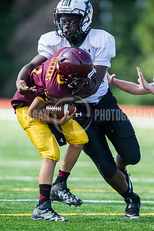 Hornets6@Lassiter_20160827_30