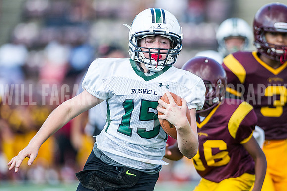 Hornets6@Lassiter_20160827_22
