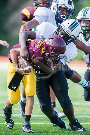 Hornets6@Lassiter_20160827_37