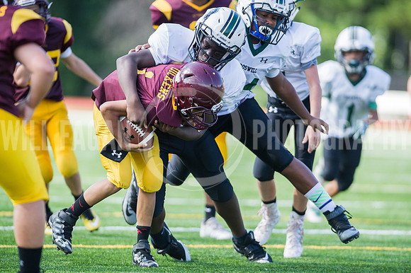 Hornets6@Lassiter_20160827_38