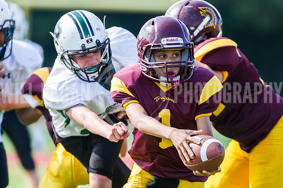 Hornets6@Lassiter_20160827_28