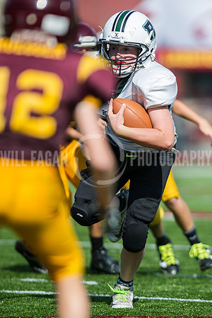 Hornets6@Lassiter_20160827_46