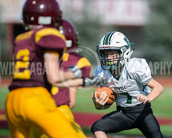 Hornets6@Lassiter_20160827_43