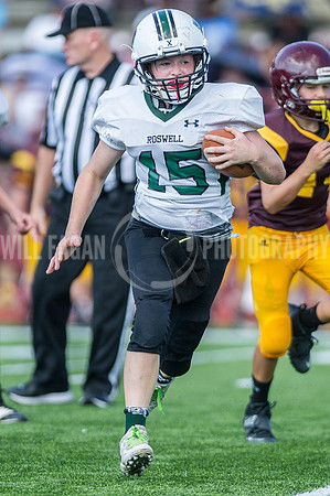 Hornets6@Lassiter_20160827_16