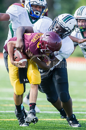 Hornets6@Lassiter_20160827_36