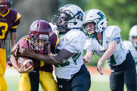 Hornets6@Lassiter_20160827_33