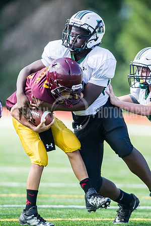 Hornets6@Lassiter_20160827_31